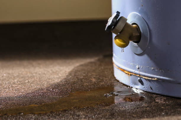 Best Water damage contractors near me  in Fort Gibson, OK