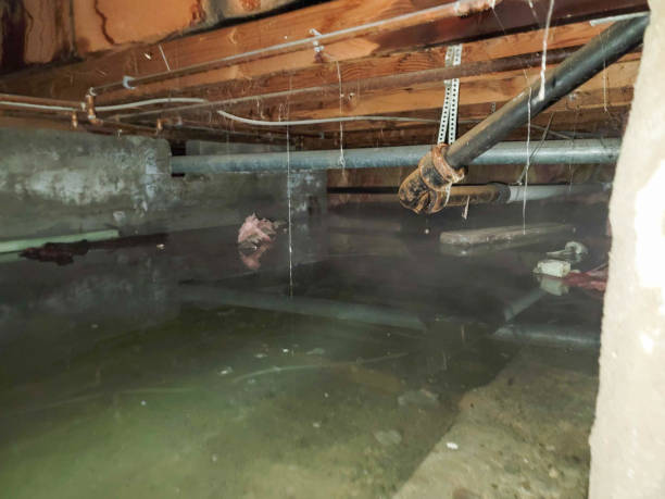 Best Water damage restoration process  in Fort Gibson, OK