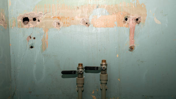 Best Carpet water damage restoration  in Fort Gibson, OK