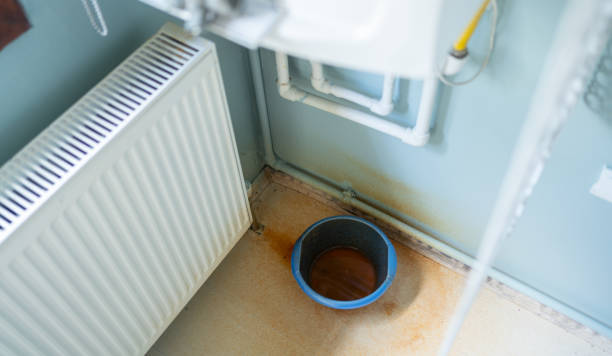 Best Mold removal after water damage  in Fort Gibson, OK